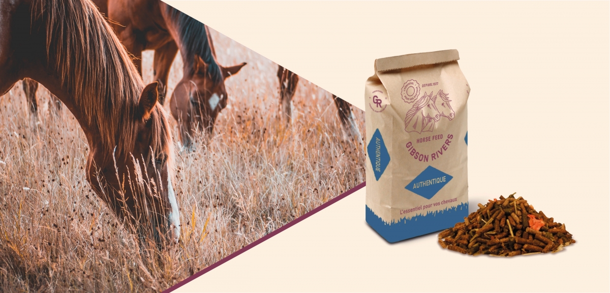 
                        AUTHENTIQUE SENSITIVE
                        