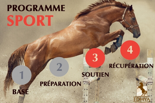 Phase 3 et 4 du programme nutritionnel Edhya pour...