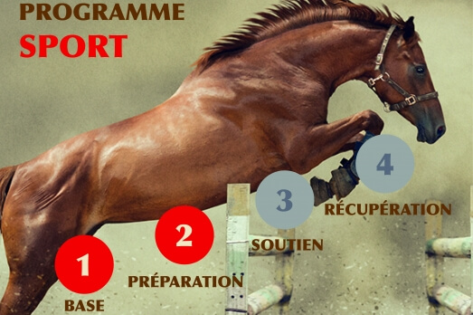 Phases 1 et 2 du programme nutritionnel EDHYA pour...