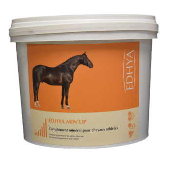 EDHYA MIN UP