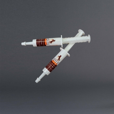 EDHYA OLIGO SPYR FOAL