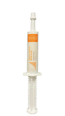 EDHYA OLIGO SPYR FOAL