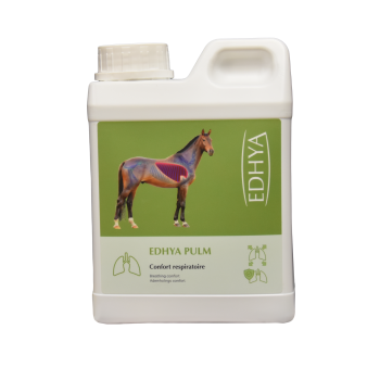 EDHYA PULM