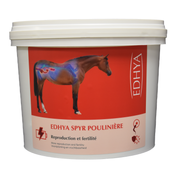 EDHYA SPYR POULINIERE