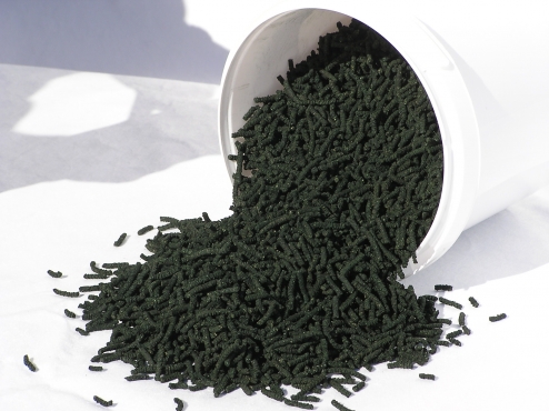 EDHYA SPYR POULINIERE