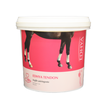 EDHYA TENDON