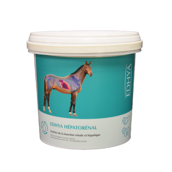 EDHYA HEPATORENAL