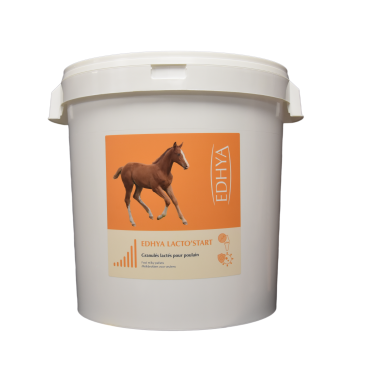 EDHYA LACTO START