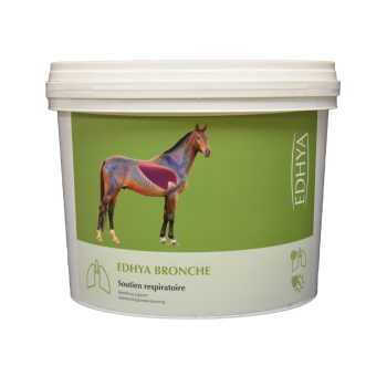 EDHYA BRONCHE